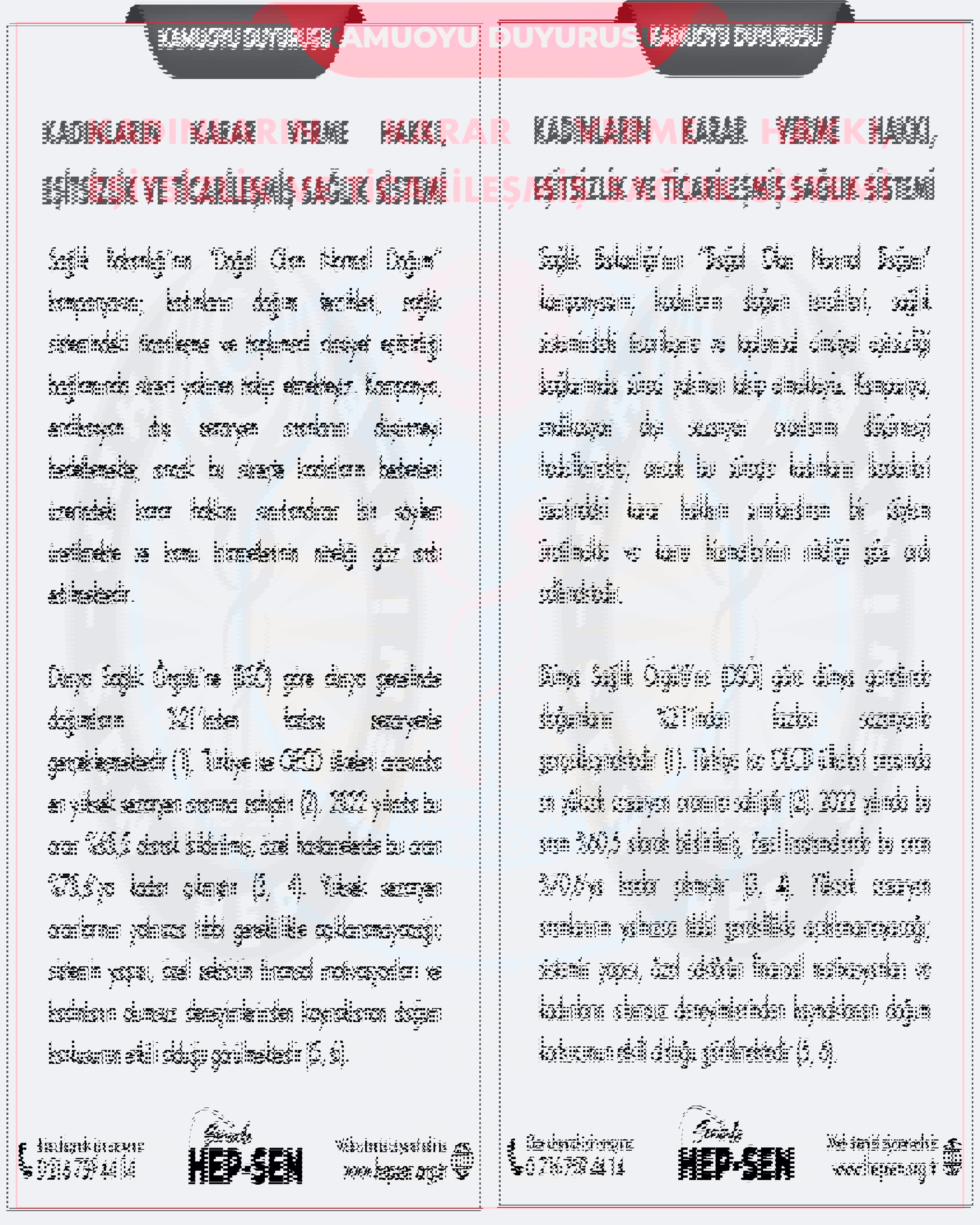 Kadınların Karar Verme Hakkı, Eşitsizlik ve Ticarileşmiş Sağlık Sistemi